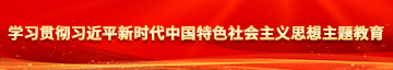 啊~啊~啊~插逼网站学习贯彻习近平新时代中国特色社会主义思想主题教育